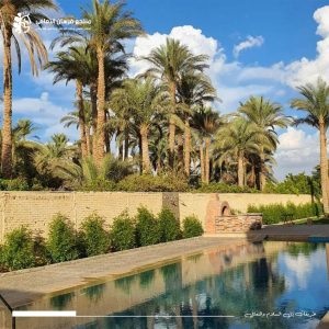 WhatsApp Image 2024-08-17 at 3.56.56 PM (1)